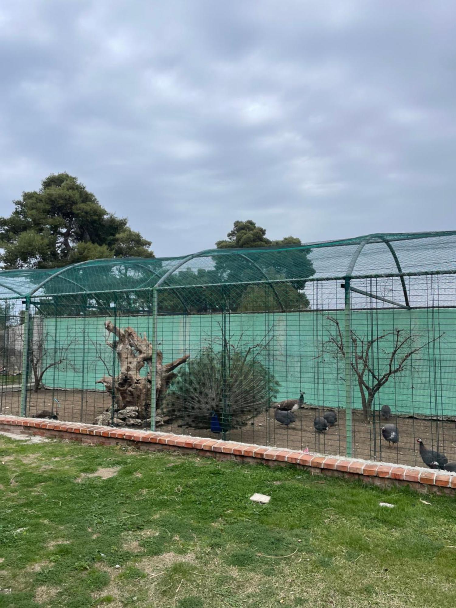 Agroturizem Eldi Ξενοδοχείο Φιέρι Εξωτερικό φωτογραφία