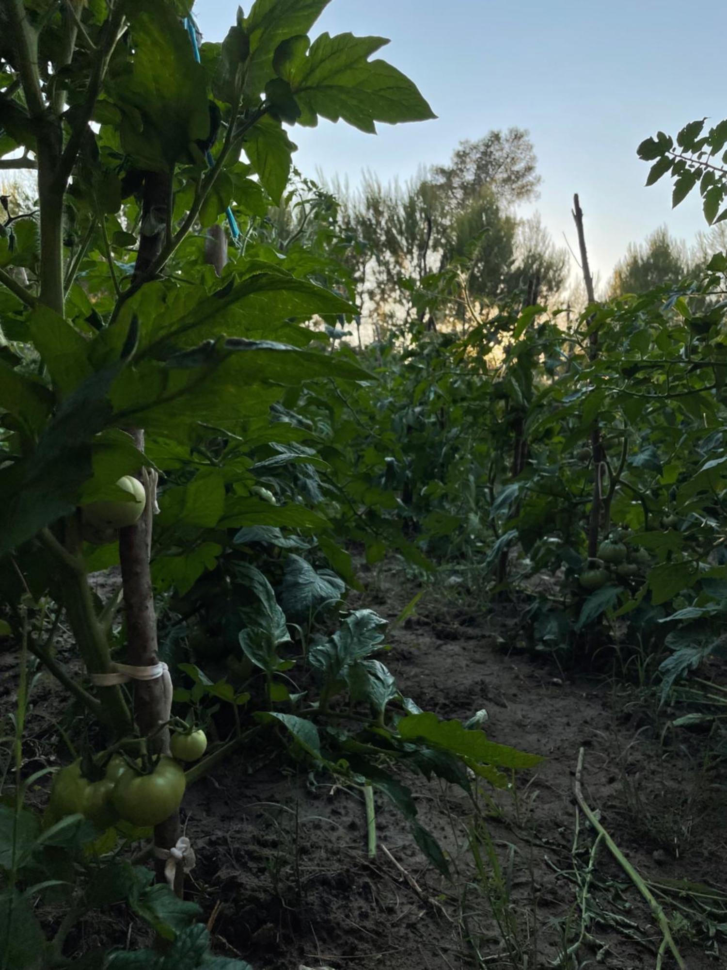 Agroturizem Eldi Ξενοδοχείο Φιέρι Εξωτερικό φωτογραφία
