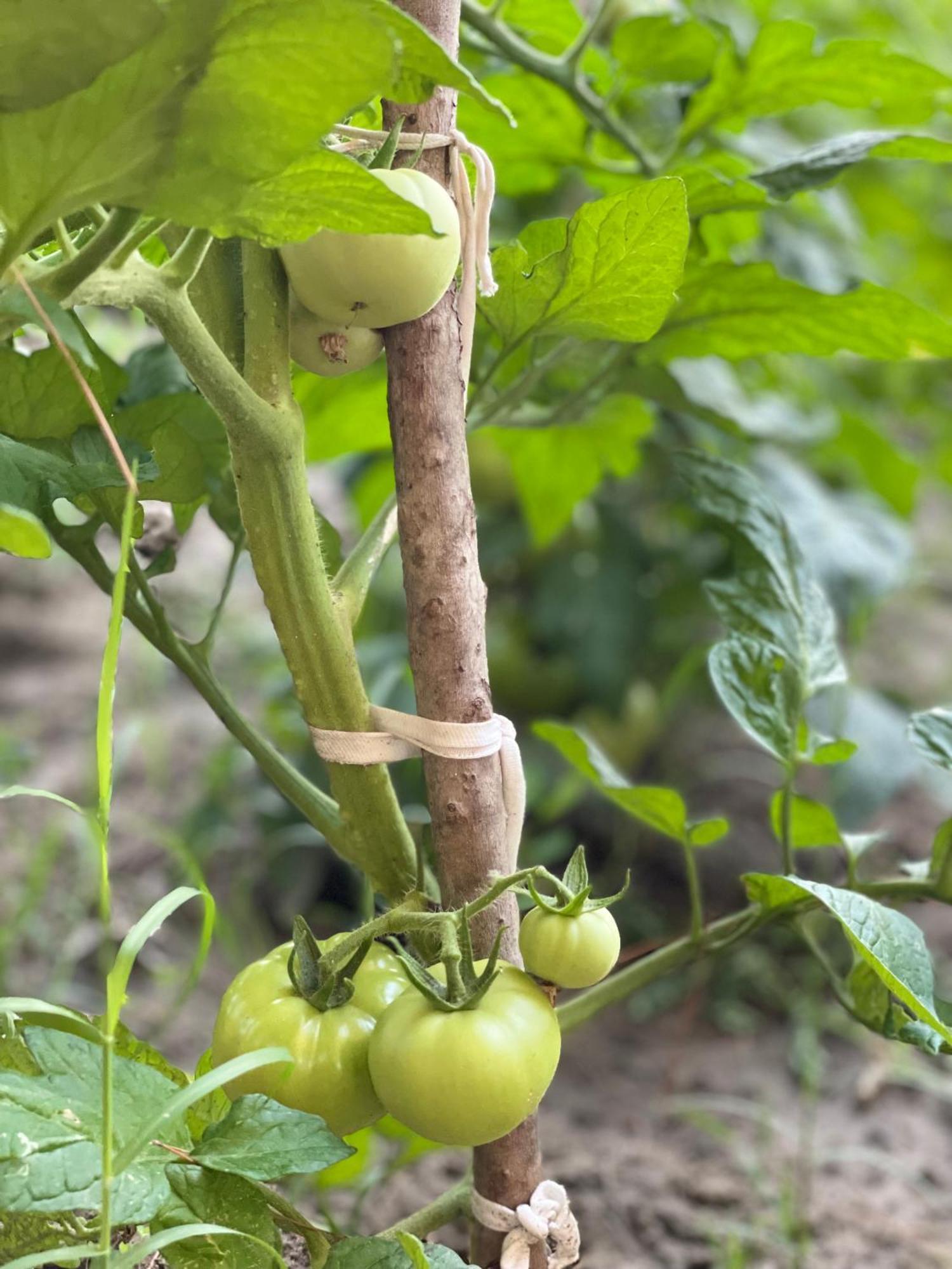 Agroturizem Eldi Ξενοδοχείο Φιέρι Εξωτερικό φωτογραφία